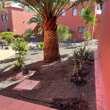 Casa Mimi Oasis Tamarindo Apartman